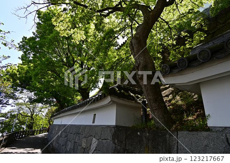 春の福知山城 春の福知山城 123217667