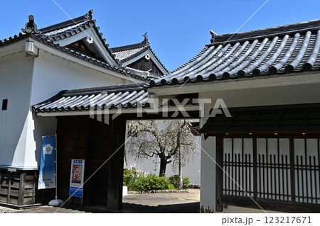 春の福知山城 春の福知山城 123217671