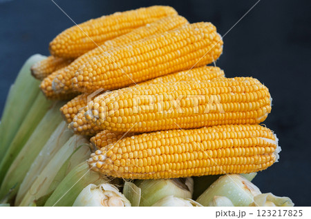 harvest of ripe sweet corn in closeup. Yellow corn cobs 123217825