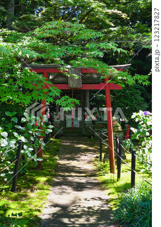 本土寺　お稲荷様（千葉県松戸市） 123217827