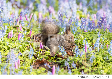 北海道浦臼神社の風景 北海道浦臼神社の風景 123218061