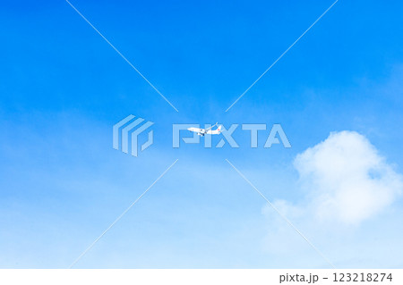 よく晴れた青空の中優雅に飛ぶ飛行機とコピースペース 123218274