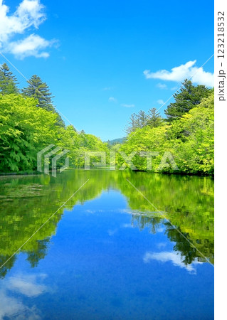 新緑の雲場池 123218532