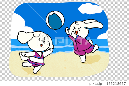 一隻穿著泳衣的兔子和一隻狗在晴朗的天空和美麗的藍色海水的海灘上玩沙灘排球 123218637