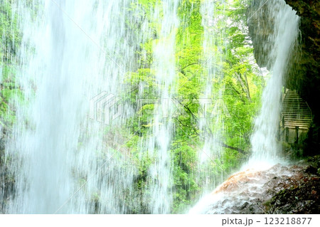 新緑の雷滝 123218877