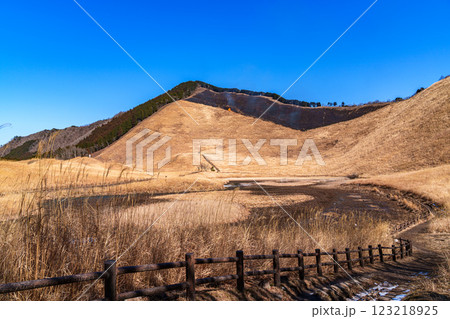 2025年2月15日山焼き当日の曽爾高原 倶留尊山稜線付近に点火➅ 2025年2月15日山焼き当日の曽爾高原 倶留尊山稜線付近に点火➅ 123218925