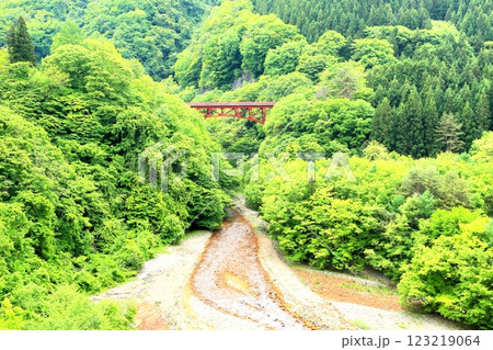 松川渓谷の新緑 123219064