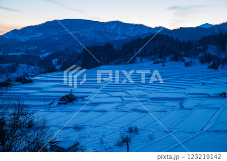 雪景色の椹平の棚田 雪景色の椹平の棚田 123219142