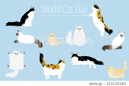 世界ねこの日、長毛種の猫セット（ペルシャ、メインクーン、ノルウェージャンフォレストキャット、バリニー 123219183
