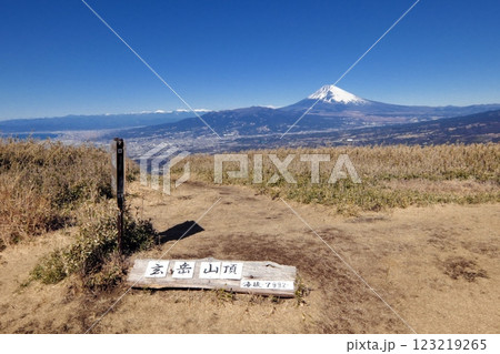 玄岳山頂と富士山 123219265