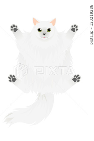 長毛種の猫、シルバー系のサイベリアンがへそ天しているイラスト 123219286