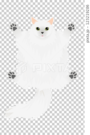 長毛種の猫、シルバー系のサイベリアンがへそ天しているイラスト 123219286