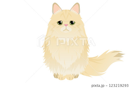 長毛種の猫、ゴールド系のペルシャ猫がカメラ目線で座るイラスト 123219293
