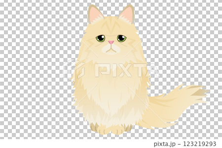 一隻長毛金色波斯貓坐著看著鏡頭的插圖 123219293