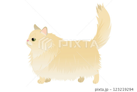 長毛種の猫、ゴールド系のペルシャが尻尾を立てて歩くイラスト 123219294