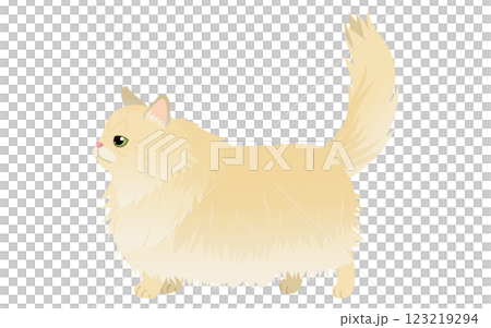 長毛種の猫、ゴールド系のペルシャが尻尾を立てて歩くイラスト 123219294