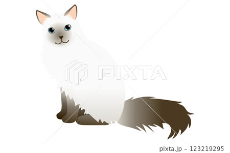 長毛種の猫、チョコレート色のポイントカラーのバリニーズ（シャムの長毛）がカメラ目線で座るイラスト 123219295