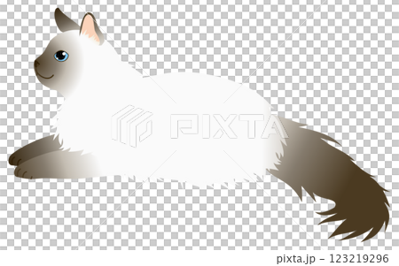 一隻帶有巧克力色斑點的巴厘島長毛貓躺著的插圖 一隻帶有巧克力色斑點的巴厘島長毛貓躺著的插圖 123219296