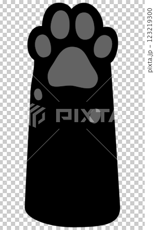 Black cat's front paws, black paws 123219300