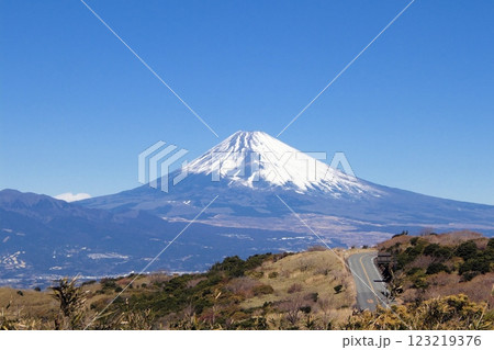 玄岳から望む富士山と伊豆スカイライン 123219376