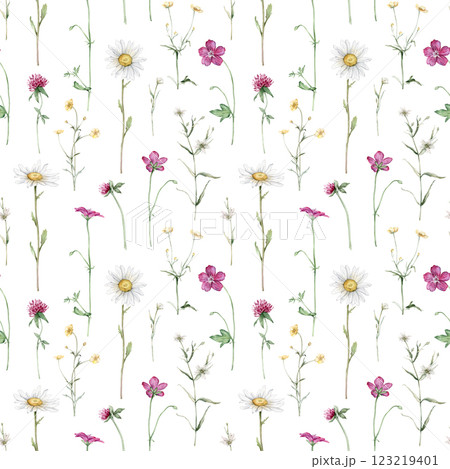 Watercolor floral seamless pattern with summer meadow flowers in botanical rustic style. Hand drawn print with buttercup, clover, chamomile, geranium. Repeat wallpaper with leaves and plants 123219401