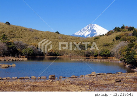 玄岳の氷ヶ池から望む富士山 123219543