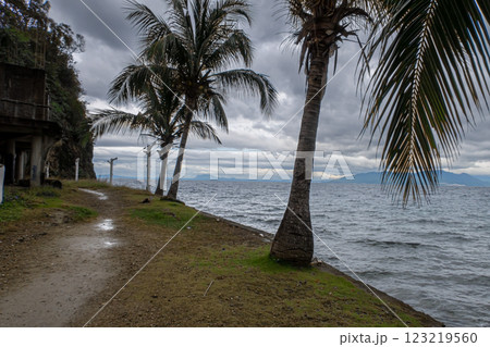 A view of a tropical coastline a rainy day. Palm trees, a dark sky, and ocean in the background 123219560