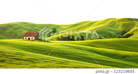 Small House in a Green Field 123219685