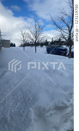 冬のカナダの積雪 123219780