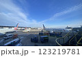 冬のシカゴ・オヘア空港 123219781
