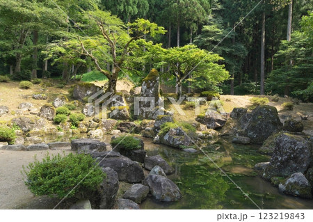 一乗谷朝倉氏遺跡　諏訪館跡庭園 123219843