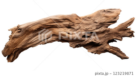 Driftwood 123219871