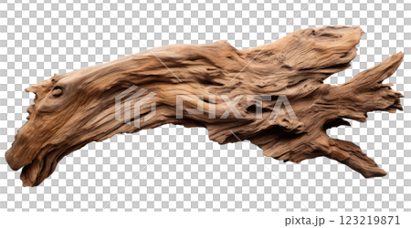 Driftwood 123219871