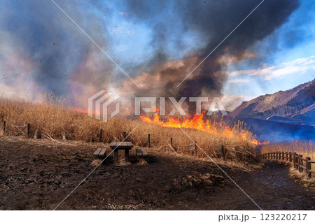 2025年2月15日山焼き当日の曽爾高原　お亀池の奥から入り口へ向かってくる炎⑫ 123220217