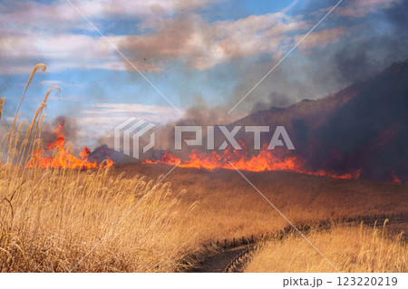 2025年2月15日山焼き当日の曽爾高原　お亀池の奥から入り口へ向かってくる炎⑩ 123220219