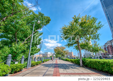 横浜みなとみらいの都市風景　汽車道　ワールドポーターズ方面 123220403