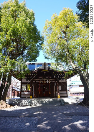 橘樹神社 橘樹神社 123220527