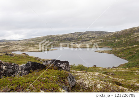 Small lake in the hilly tundra 123220709