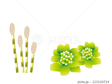 つくしとフキノトウ~春のイラスト つくしとフキノトウ~春のイラスト 123220724