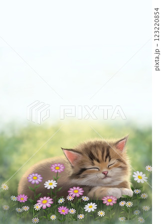 眠っているネコの背景 a 眠っているネコの背景 a 123220854