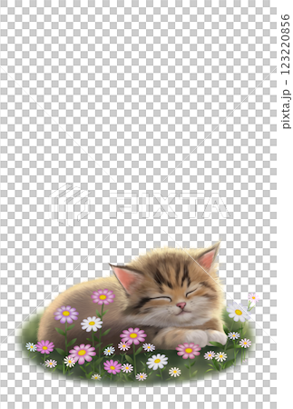 眠っているネコの背景　c-1 123220856
