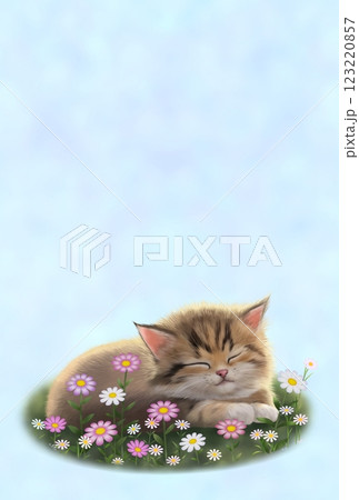 眠っているネコの背景　c-2 123220857