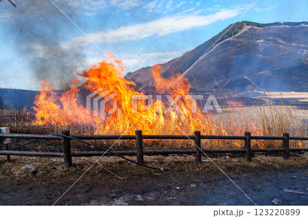 2025年2月15日山焼き当日の曽爾高原　入り口の広場に点火される山焼き㉟ 123220899