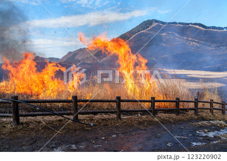 2025年2月15日山焼き当日の曽爾高原 入り口の広場に点火される山焼き㉜ 2025年2月15日山焼き当日の曽爾高原 入り口の広場に点火される山焼き㉜ 123220902