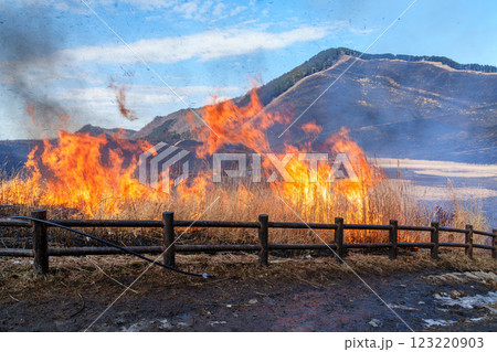 2025年2月15日山焼き当日の曽爾高原 入り口の広場に点火される山焼き㉛ 2025年2月15日山焼き当日の曽爾高原 入り口の広場に点火される山焼き㉛ 123220903