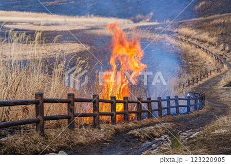 2025年2月15日山焼き当日の曽爾高原　入り口の広場に点火される山焼き㉙ 123220905