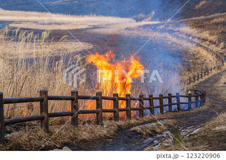 2025年2月15日山焼き当日の曽爾高原　入り口の広場に点火される山焼き㉘ 123220906