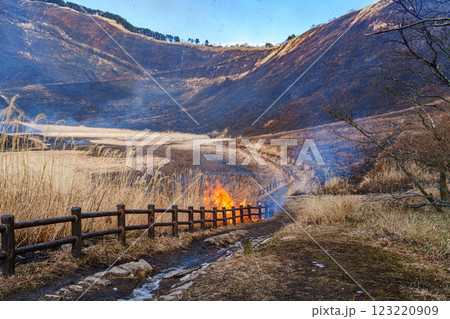 2025年2月15日山焼き当日の曽爾高原　入り口の広場に点火される山焼き㉕ 123220909