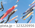 青空を泳ぐ鯉のぼり 123220956
