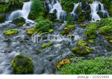 小さな滝 小さな滝 123221005